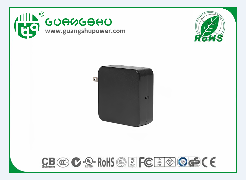 PD100W-US-(1)