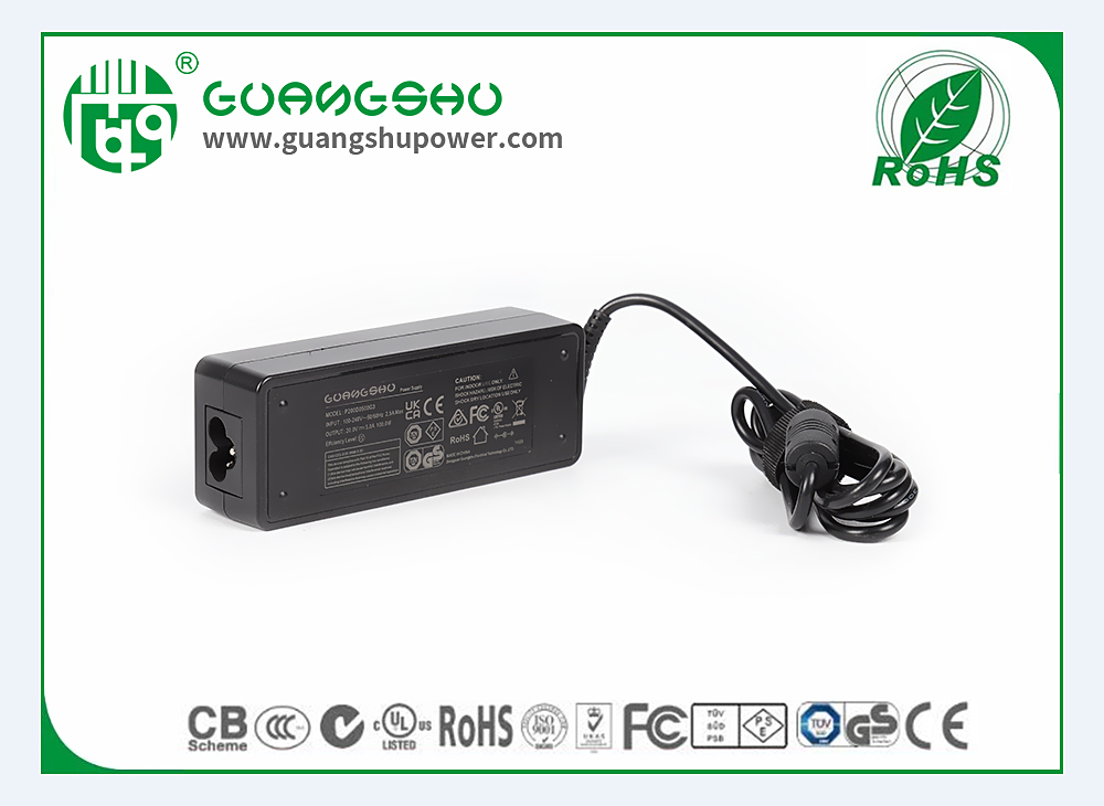 GaN-20V5A-(2)